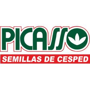 Semilla Cesped Picasso Excel Bermuda Premium X 1 Kg