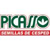 Semilla Cesped Pasto Picasso Trebol Blanco X 100 Gr