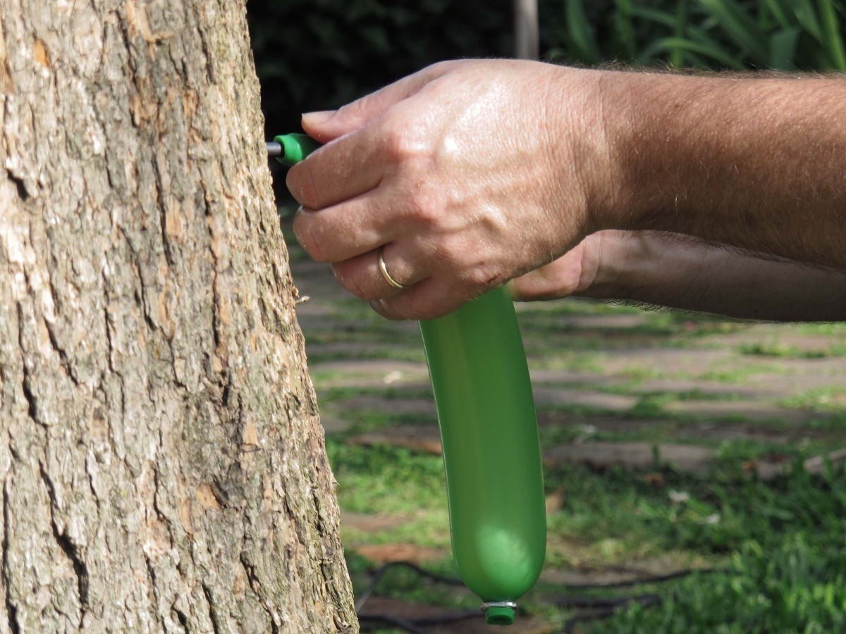 Arboles Sanos – Insecticida Sistemico Inyectable Concentrado – Bonsai del  Bosque