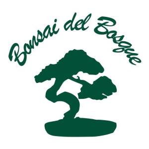 Perlita Agronoma Cultivo 50 Dm3