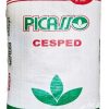 Semilla Cesped Pasto Picasso Excel Cuyo X 10kg