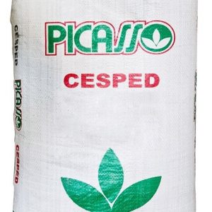Semilla Cesped Pasto Picasso Bermuda X 25kg Cynodon Dactylon