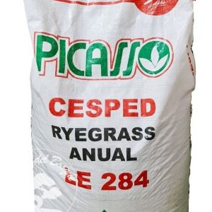 Resiembra Otoño - Invierno Ryegrass Le284 25kg Picasso