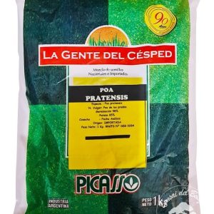 Semilla Cesped Pasto Picasso Poa Pratensis Bluegrass 5kg
