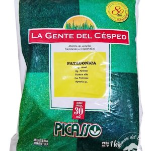 Semilla Cesped Pasto Picasso Patagonica X 5 Kg